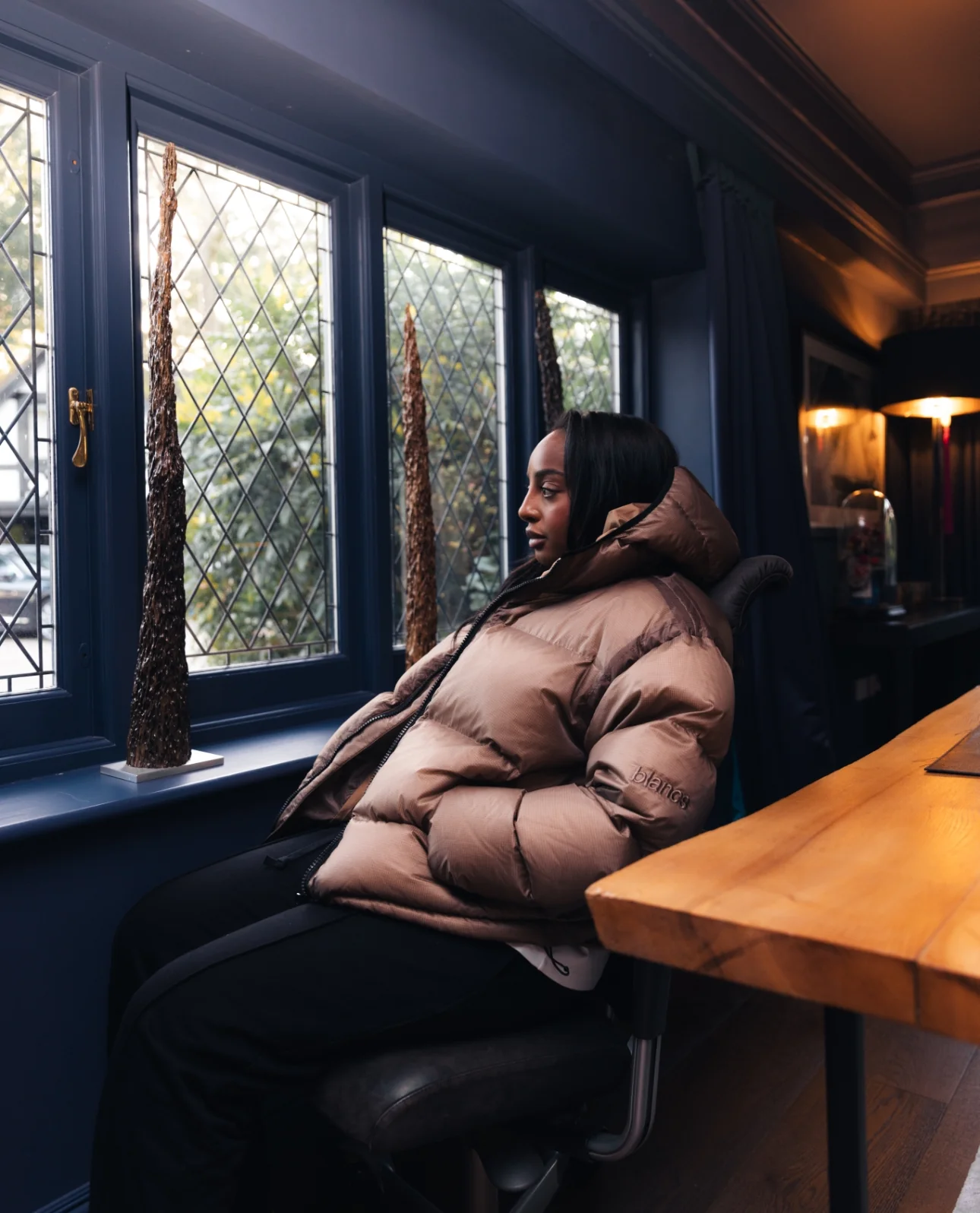 BLANCS DOWN PUFFER JACKET - BROWN - Image 4